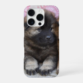 Funda de iPhone 16 con foto de perrito marrón iPhone 16 Proケース