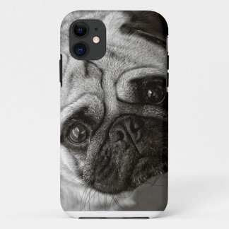 funda de telefono con fotograria de Carlino iPhone 11 ケース