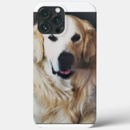 Funda para iPhone / iPad 13 Pro Maxケース