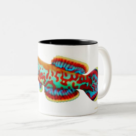 Fundulopanchax Gardneriの卵生メダカのマグ ツートーンマグカップ (正面右)