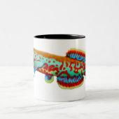 Fundulopanchax Gardneriの卵生メダカのマグ ツートーンマグカップ (中央)