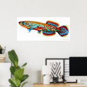Fundulopanchax Gardneri Killifish Poster ポスター (ホームオフィス)