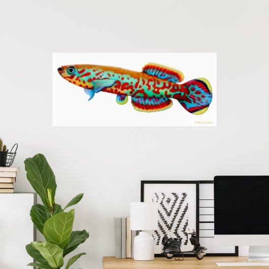 Fundulopanchax Gardneri Killifish Poster ポスター (ホームオフィス)