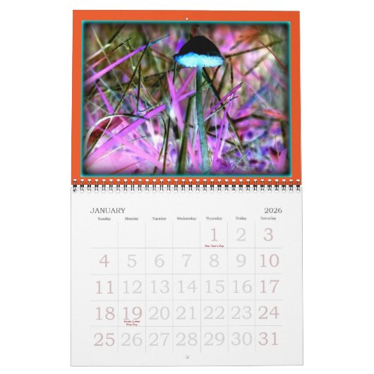 Fungal逆転のずっと菌類のオリンピック半島 カレンダー (1月 2026)