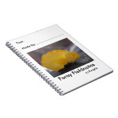 Fungi0zによる分野の博物学者のノート ノートブック (右側)