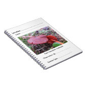 FungiOz著分野の博物学者のノート ノートブック (右側)