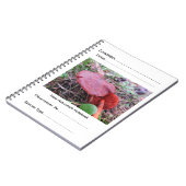 FungiOz著分野の博物学者のノート ノートブック (左側)