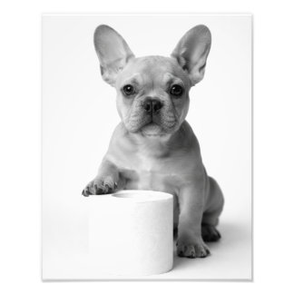 Funny Aesthetic French Bulldog Toilet Paper Photo フォトプリント