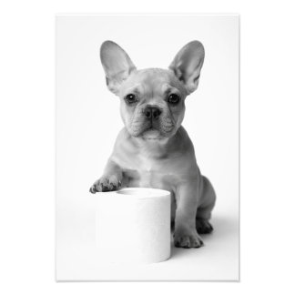 Funny Aesthetic French Bulldog Toilet Paper Photo フォトプリント