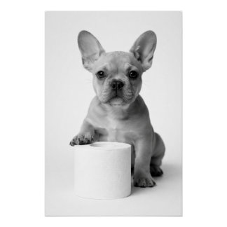 Funny Aesthetic French Bulldog Toilet Paper Photo ポスター
