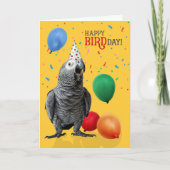 Funny African Grey Parrot Birthday Humor カード (正面)