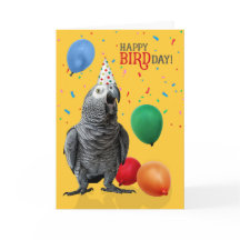 Funny African Grey Parrot Birthday Humor