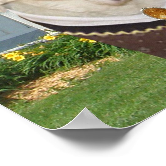 Funny American Gothic Lab Poster ポスター (角)