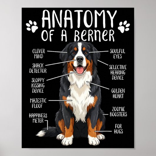 Funny Anatomy Bernese Mountain Dog Cute Berner Lov ポスター (正面)