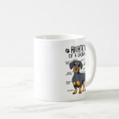 Funny Anatomy Dachshund Wiener Dog Cute Doxie Love コーヒーマグカップ (正面右)