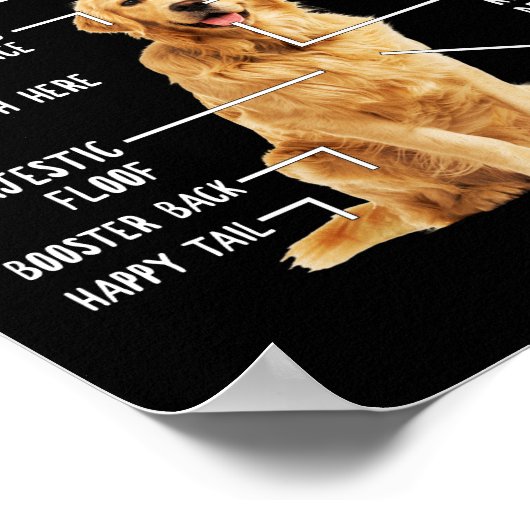 Funny Anatomy Golden Retriever Dog Lover Gift ポスター (角)