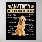 Funny Anatomy Golden Retriever Dog Lover Gift ポスター (正面)