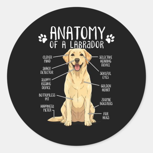 Funny Anatomy Labrador Retriever Yellow Lab Dog Ow ラウンドシール (正面)