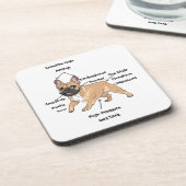 Funny Anatomy of a French Bulldog Illustration コースター (左側)