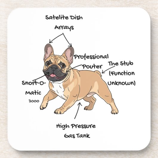 Funny Anatomy of a French Bulldog Illustration コースター (正面)