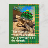 Funny and Festive Grinch Sulcata Tortoise Holiday ポストカード (正面)