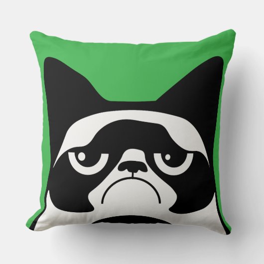 Funny Angry Cat クッション (正面)