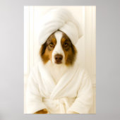 Funny Australian Shepherd Bathroom Print ポスター (正面)
