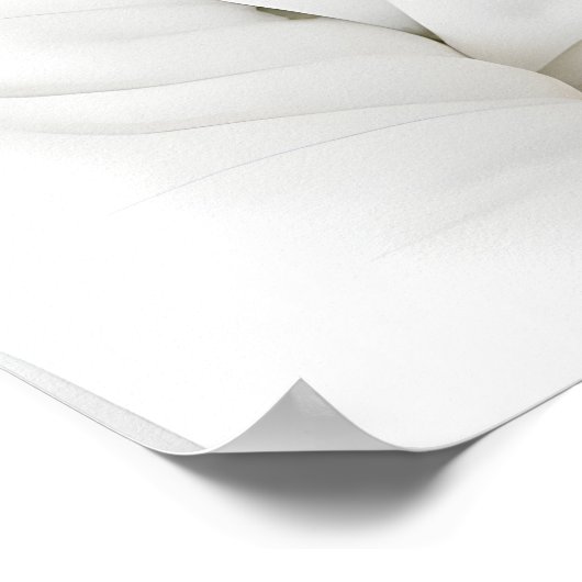 Funny Beagle Bathroom Print, Beagle In Bathrobe ポスター (角)