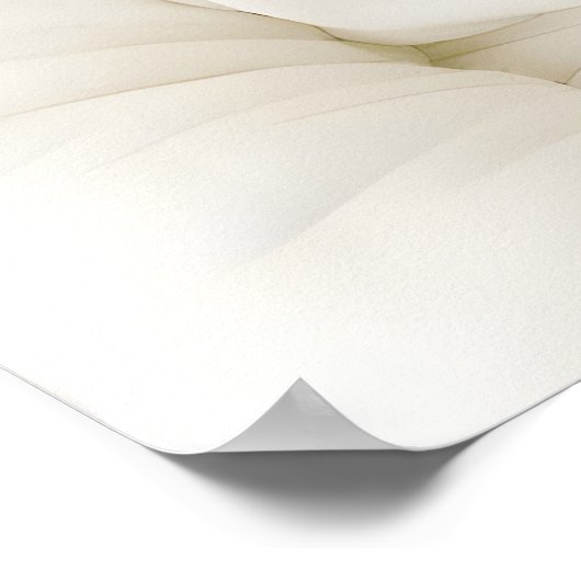 Funny Bear Bathroom Print, Bear In Bathrobe ポスター (角)