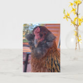 Funny Bearded Chicken Head Close-Up カード (黄色い花)