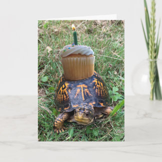 Funny Belated Birthday Card カード