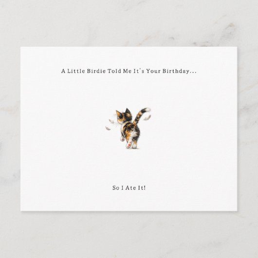 Funny Bird Cat Birthday Card. シーズンポストカード (正面)
