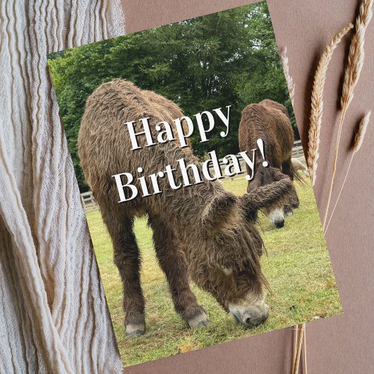 Funny Birthday Donkey Farm Animal Cute Barnyard  カード