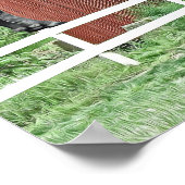 Funny Bison At The Covered Bridge ポスター (角)