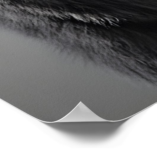 Funny Bison Bathroom Art Print, Toilet Paper Roll ポスター (角)