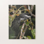 Funny Black-Capped Chickadee Having a Stretch ジグソーパズル<br><div class="desc">Part brainteaser, part assemble-it-yourself art, this challenging, wildlife-themed puzzle is great for improving muscle memory. A Black-Capped Chickadee has a stretch on one of our pear trees. Another brood of babies was successfully raised this year -- but rather than using the old nestbox that ended up doubling as a wasps'...</div>
