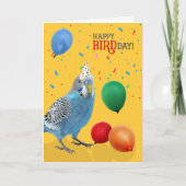 Funny Blue and White Budgie Parakeet Birthday カード (正面)