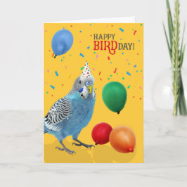 Funny Blue and White Budgie Parakeet Birthday カード