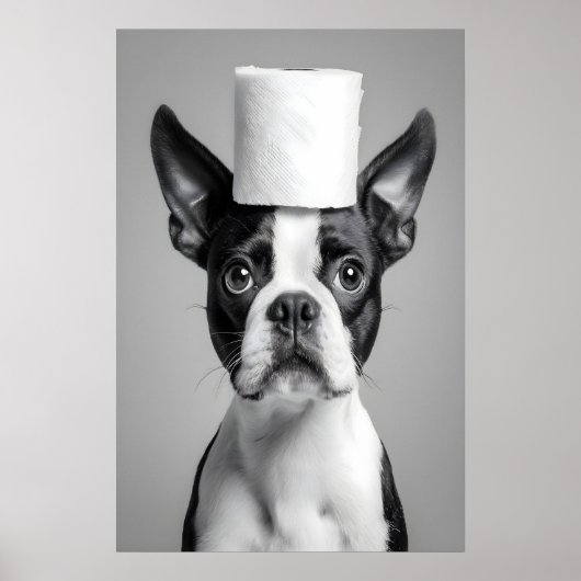 Funny Boston Terrier Bathroom Print, Toilet Paper ポスター (正面)