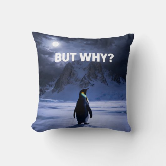 Funny BUT WHY Penguin Pillow クッション (正面)