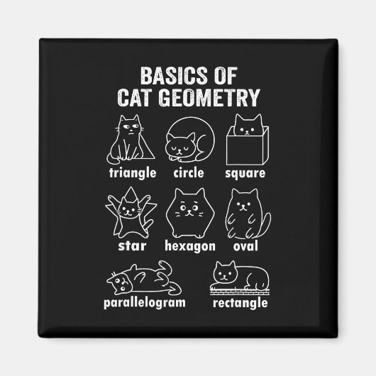Funny Bysics Of Cat Geometry Byck To School Math T マグネット (正面)