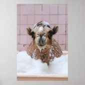 Funny Camel Bubble Bath Art, Whimsical Animal ポスター (正面)
