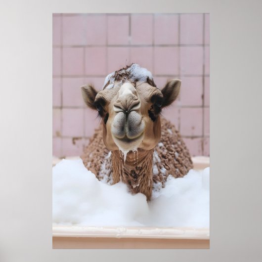 Funny Camel Bubble Bath Art, Whimsical Animal ポスター (正面)