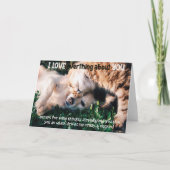 Funny Cat and Dog Birthday Card カード (正面)