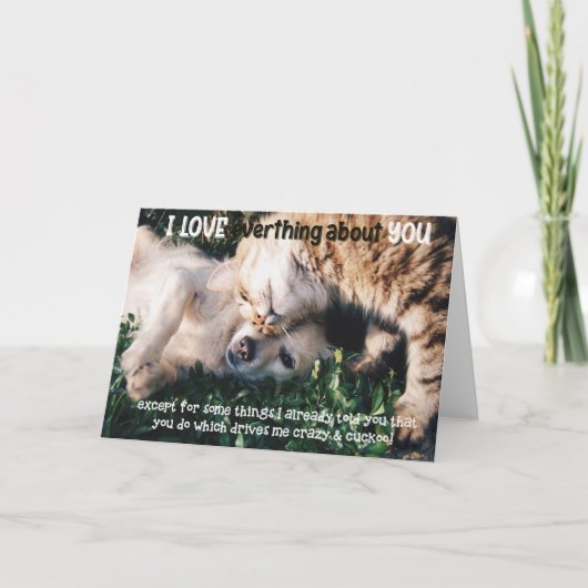 Funny Cat and Dog Birthday Card カード (正面)