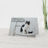 Funny Cat Birthday Greeting Card カード (正面)
