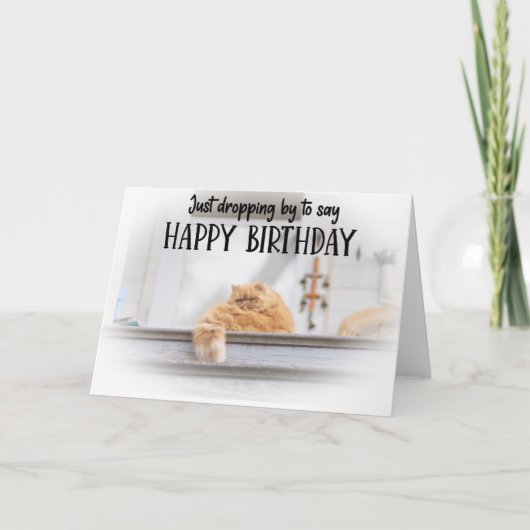 Funny Cat Birthday Greeting Card  カード (正面)