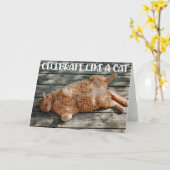 Funny Cat Birthday Greeting Card  カード (黄色い花)