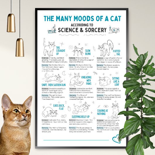 Funny Cat Body Language Poster – Feline Mood Chart ポスター