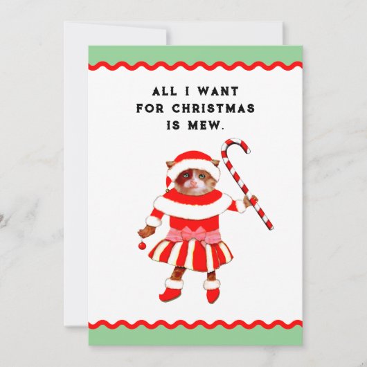 Funny Cat Christmas シーズンカード (正面)